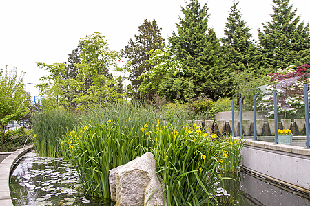 Grand Pacific garden