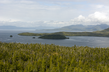 Tongass National Forest