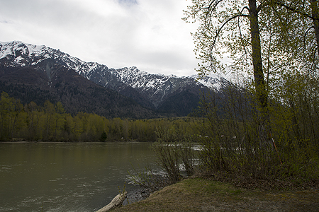 Chilkat River