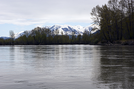 Chilkat River Haines Alaska