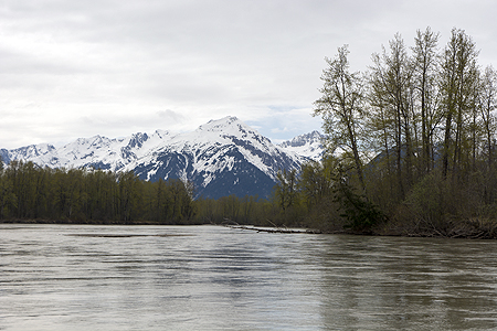Chilkat River bald eagle reserve