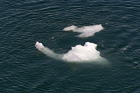 iceberg