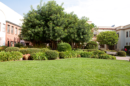 Lucille Ball Park Desilu Paramount