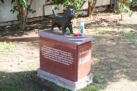 Toto Wizard of OZ Hollywood Forever