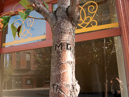 Friends Monica Geller Tree