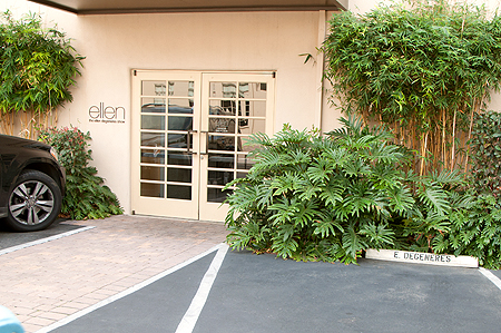 Ellen Degeneris Show