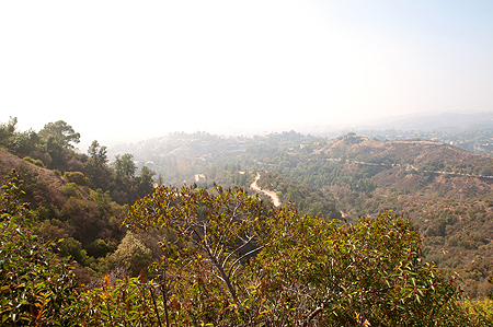 Griffith Park View