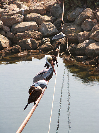 Queen Mary walking tour