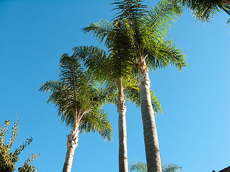Disneyland Candy Cane Hotel