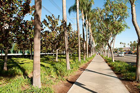 Disneyland California