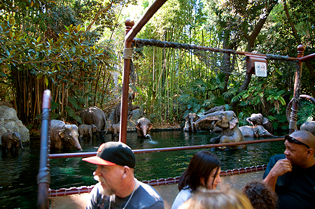 Disney Jungle Cruise Elephants