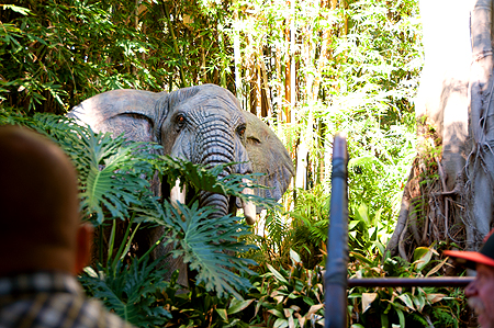 Disney Jungle Cruise elephant'