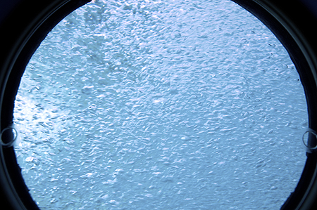 Finding Nemo Submarine Disney