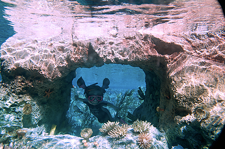 Disney Finding Nemo Submarine