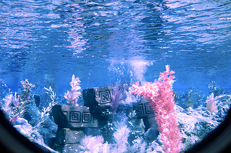 Finding Nemo ride Disneyland