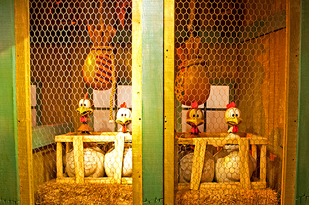 Mickey's House Chickens