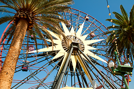 Disneyland Ferris Wheel