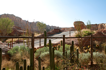 Cars Radiator Springs Disneyland