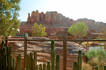 Cars California Adventure