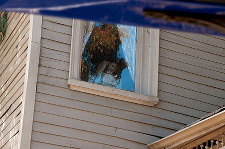 Norman Bates Mother VIP Movie backlot Tour