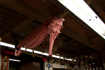 Props Department Universal Studios VIP Tour