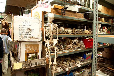 Universal VIP Tour Bones Props