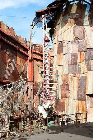 Universal Studios Waterworld Stunt Show