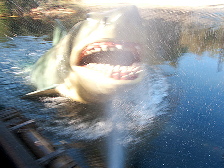 Jaws Universal Tour VIP