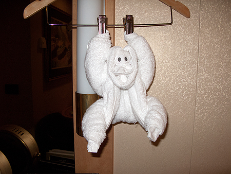 cruise towel animal monkey