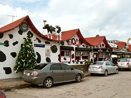 Aruba Eet Cafe The Paddock