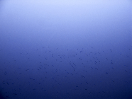 aruba dive submarine