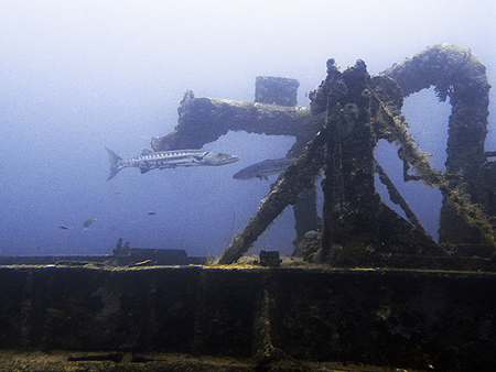 Aruba sub barracuda