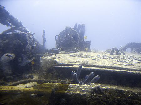 Jane Sea Wreck Aruba