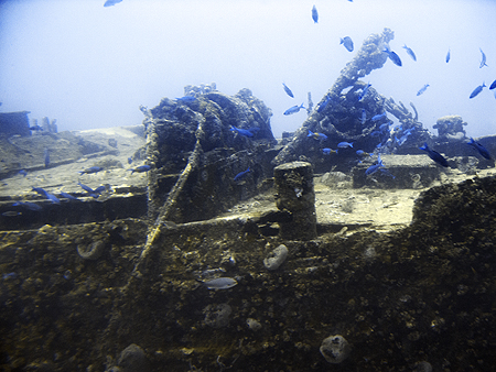 Jane Sea wreck Aruba Atlantis submarine