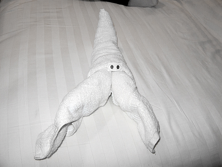 Cruise towel animal
