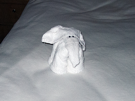 cruise ship towel animals