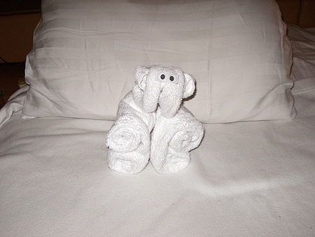 cruise towel animal
