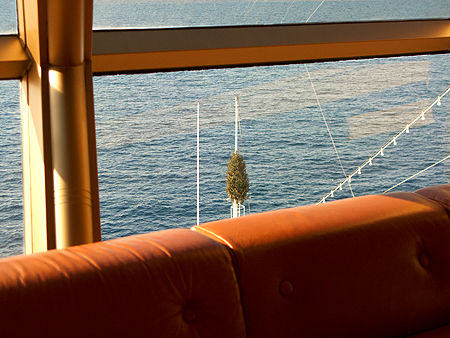 Noordam christmas tree bow