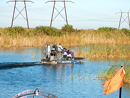 airboat Florida everglades excursion