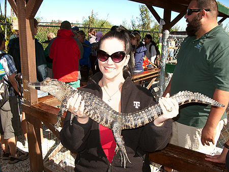 alligator hold sawgrass florida