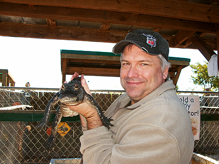 hold alligator florida sawgrass everglades