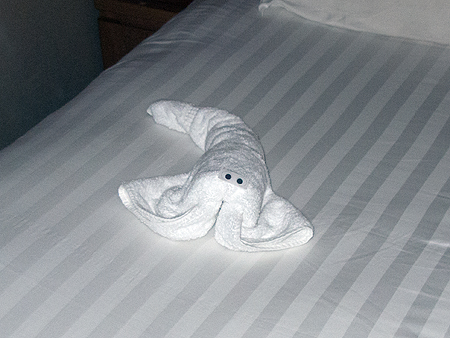 Noordam Holland America towel animal stingray
