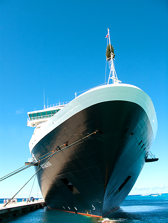 Christmas tree Noordam