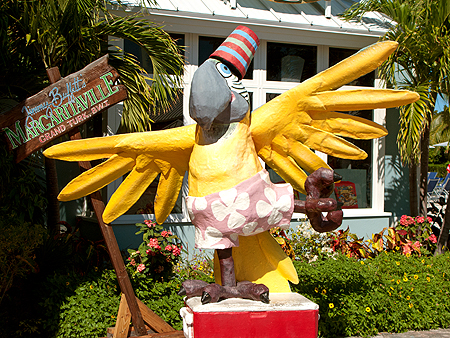 Grand Turk Jimmy Buffet