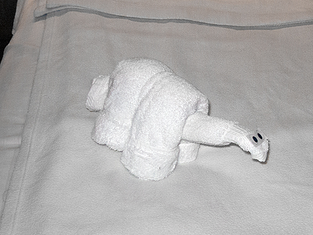 Noordam towel animal