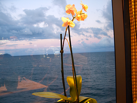 Noordam Holland America Cruise Christmas