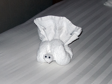 Holland America Cruise Towel Animal