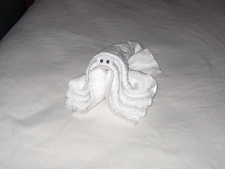Noordam cruise Towel animal