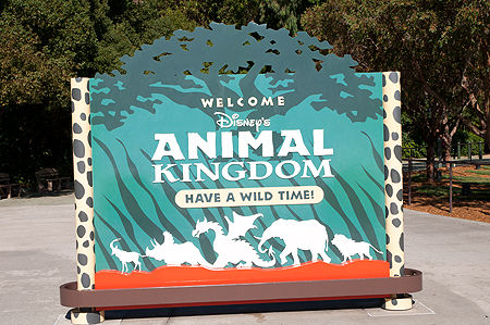Disney's Animal Kingdom