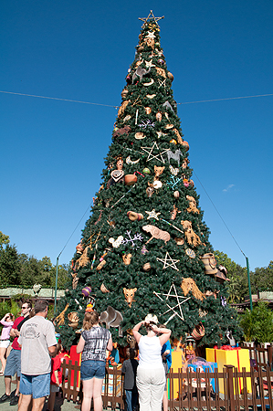 Disney Animal Kingdom Christmas
